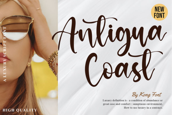 Antigua Coast: A Playful Script for Modern Creatives